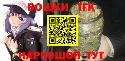 тгк Славгород
