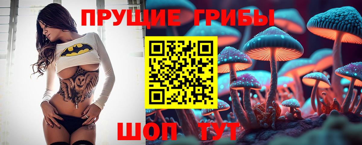 Саров  Псилоцибиновые грибы GOLDEN TEACHER  Вход с VPN 